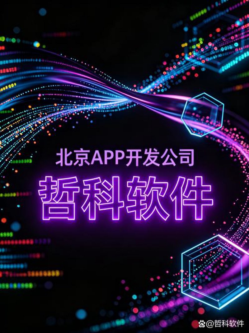 上海软件开发：城市的数字脉搏